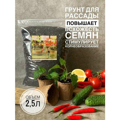 ���������� ����� ��� ������� 2,5 ������ � ���������� ������������� Terracotta Plants