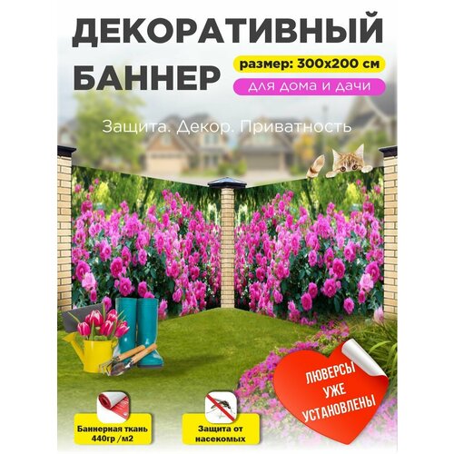 ���������� ��������� ������ �� ����� 300 �� � 200 �� � ���������