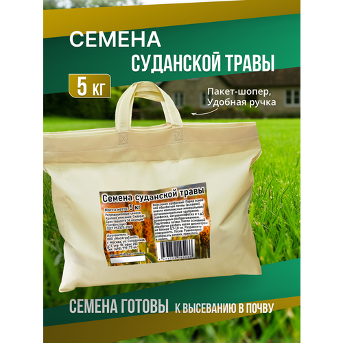 ���������� ������ ��������� ����� 5 �� � ������ ������������ ����� �������