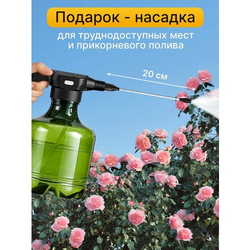 ���������� ������������� �������������� ������� 3 � � �������� ��� ��������