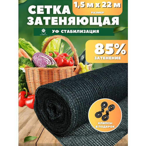 ���������� ����� ���������� �������, ��������� 85%, ������ 1,5�22�
