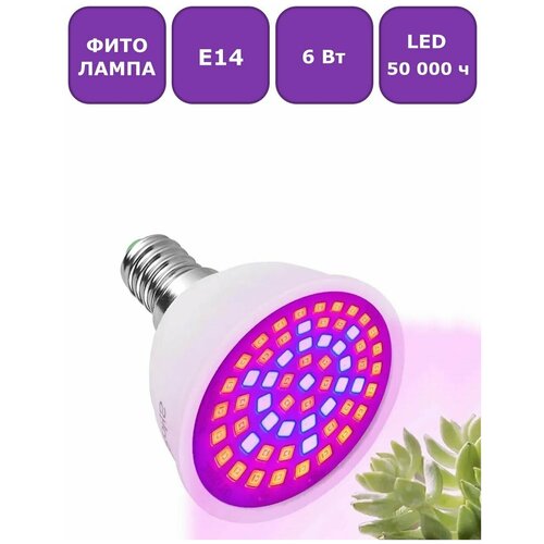 ���������� ������������ ��������� (����� ��� ��������) Maple Lamp PhytoLED, �14, 6 ��, ���. LED-E14-6W-Flora