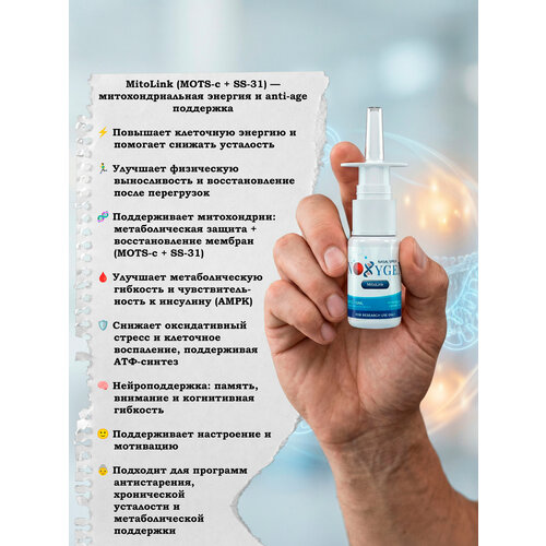 ���������� ������� ������� MitoLink (MOTS-c + SS-31) 40��/10�� ������������� ������ �������� ���� ���������������-������������ ��������