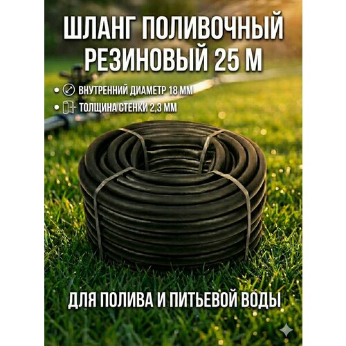 ���������� ����� ���������� ��������� 18 �� 25 ������ �������� �� 4 ���, ����� ������� ��� ������, �������� ����, ������������ ��� ����� �������� ��������