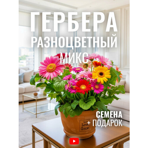 ���������� ������� ������������ ����, ������, 10 ��