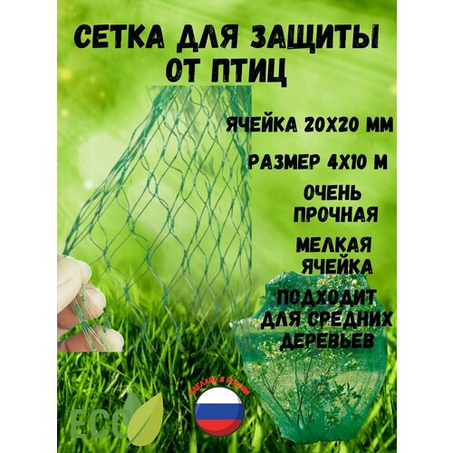���������� ����� ��� ������ �� ���� ������ 20�20 �� ������ 4 � ����� 10�