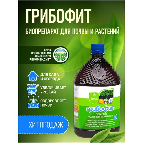 ���������� ����������� ���������� ������, Trichoderma viride �� ��������� �����������, ��������� 