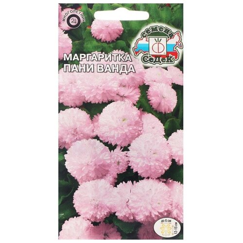 ���������� ������ ������ ���������� 