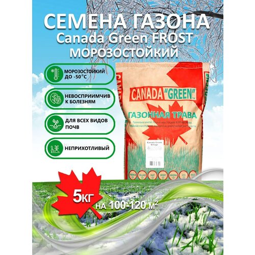 ���������� �������� ����� ������ ������ ���� ������������� FROST 5 ��/ �������, �������, �������� ������ ��� ������