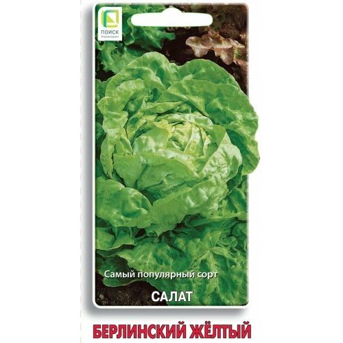 ���������� ������ ����� ���������� ����� �������� 1� (�����)