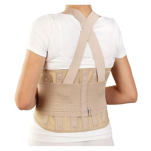 ���������� ������ Orlett IBS-3006, ������ L, ���� �������������, ������ 24 ��, �������