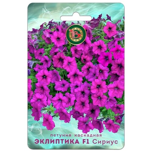 ���������� ������ ������� ��������� 