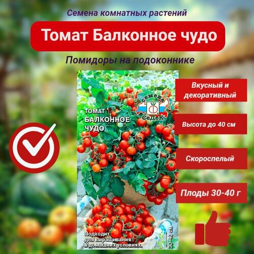 ���������� ����� ��������� ����. ������ 0,1 �. �����