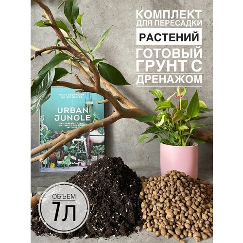���������� �������� ��� ��������� 7�. ������� ����� ��� �������� � ������ Terracotta Plants