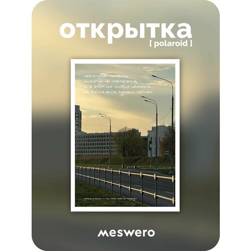 ���������� �������� meswero signature / polaroid / ��������