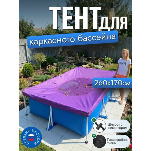 ���������� ���� ��� ���������� �������� 260�170 ��, �������������, ����������