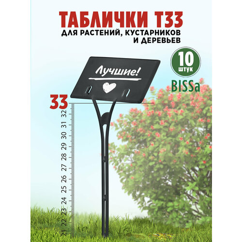 ���������� ������� �������� ��� ��������, Bissa �33, ������, 10 ��