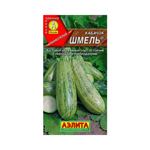 ���������� ������ ������� ����� ������� 1� ��������� ������ (������)