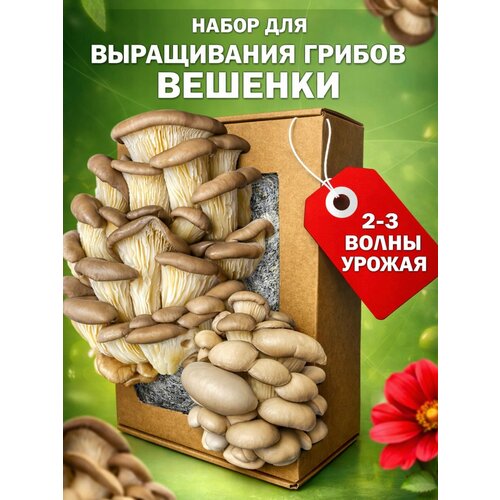 ���������� ����� ��� ����������� �������� ������� ��������, � �������� ������, ���������� � ����������
