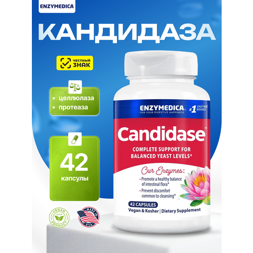 ���������� ������� ��������, Enzymedica Candidase 42 �������