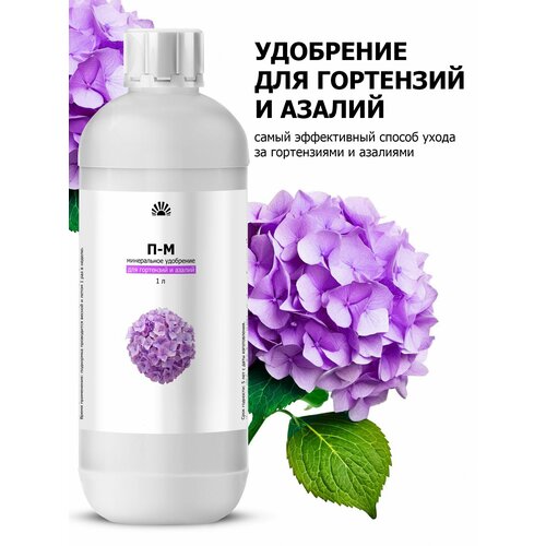 ���������� ��������� ��� ���������, ������������� � ������ ������ (Purshat) 1 �