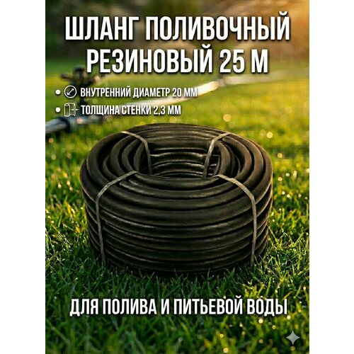 ���������� ����� ���������� ��������� 20 �� 25 ������ �������� �� 4 ���, ����� ������� ��� ������, �������� ����, ������������ ��� ����� �������� ��������