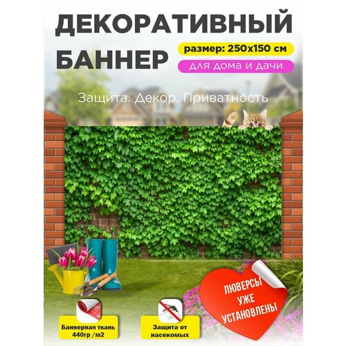 ���������� ��������� ������ �� ����� � ��������� 250�150 ��