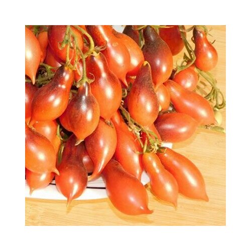 ���������� ������������� ������ ������ ������ 14 �������� � ������� ������� ����