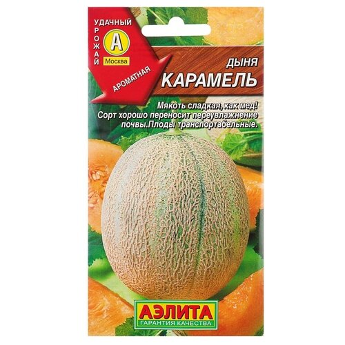 ���������� ��������� ������ ������ ���� 