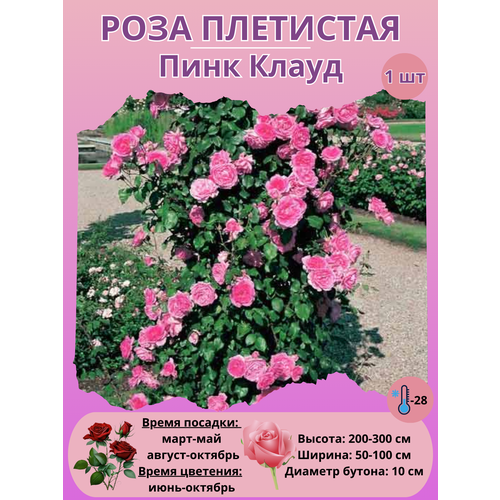 ���������� ���� ��������� ���� �����, ����������� �����