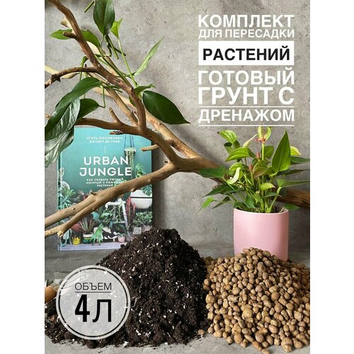 ���������� �������� ��� ��������� 4 �. ������� ����� ��� �������� � ������ Terracotta Plants