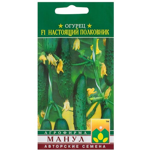 ���������� ������ ��������� ��������� F1