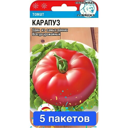 ���������� ������ ������ ��������� ��� 