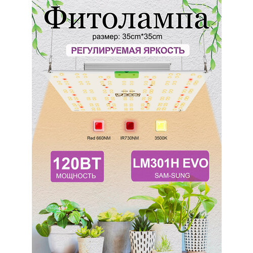���������� ���������� ��� ��������/ quantum board c ������� LM301H EVO, ��������� 120 ����, ������� ����