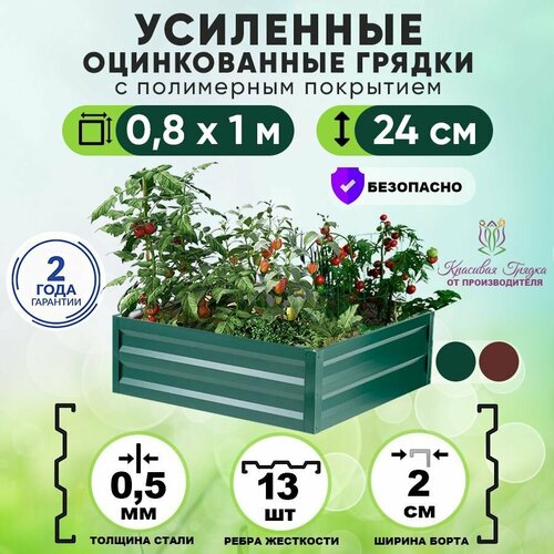 ���������� ������ ������������ �� ���� ��������� 1�0,8 ����� / ���������� ������������� ��� ������ ���� ������ � ������� ������� / ������ ��� ���� � ������� ������ ����� 24 ��