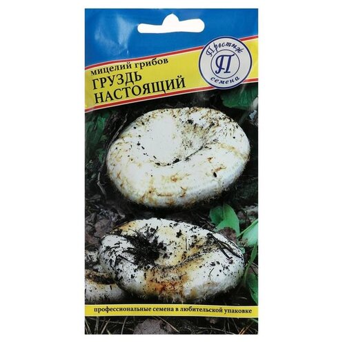 ���������� ������� ������ ������ ��������� 50 ��