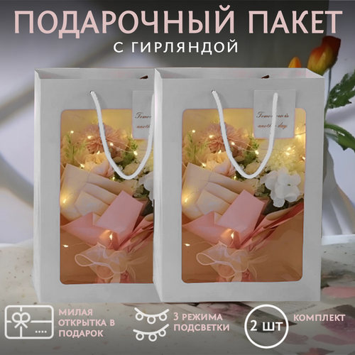 ���������� ����� �������� 2 ����� 35*25*15 ���������� � ����� � ��������� /���������� �������� ZX/�����