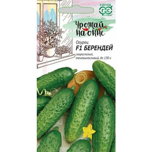 ���������� ������ ������ �������� F1, 10��, ������, ������ �� ����