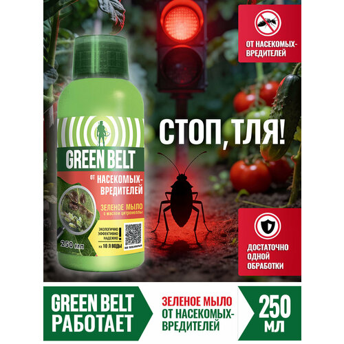���������� ����������� ��� ������ �������� Green Belt 