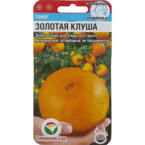 ���������� ������ ����� ������� �����, ��������� ���, 20 ��.