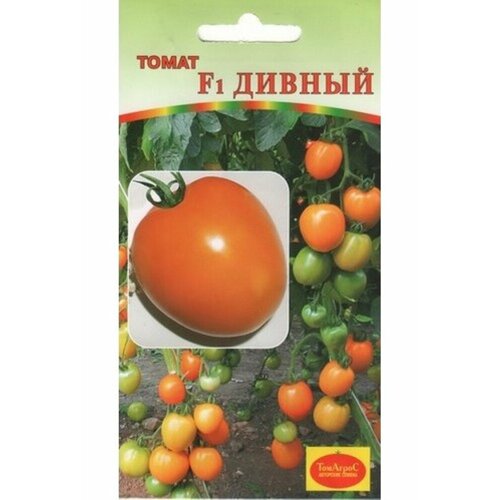 ���������� ������ ����� ������ F1 10�� ��� ������ (�����)