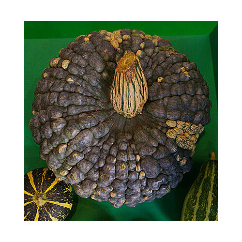 ���������� ������ ����� ������� ������� (�� 10 ��) 2 ��.