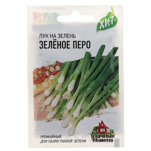 ���������� ������ ������ ��� �� ������ 