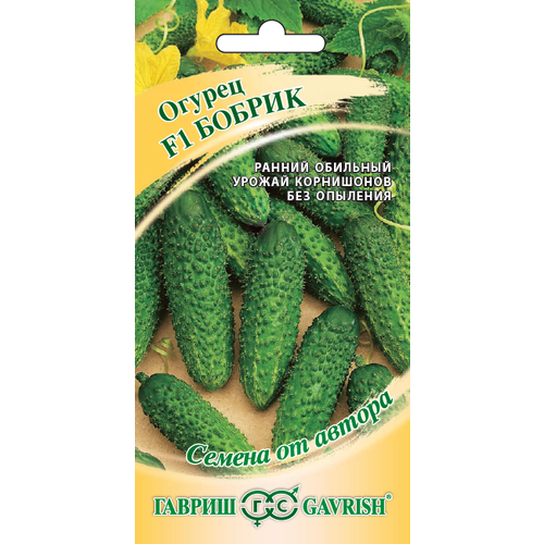 ���������� ������ ������ ������ F1 �������� 10�� ������������������ ������ (������)