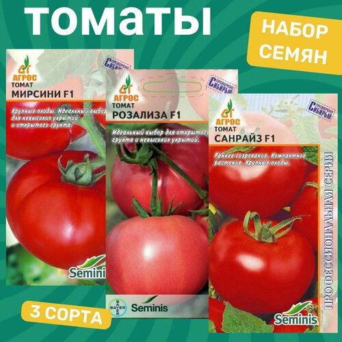 ���������� ����� ����� ������� / �������, ��������, �������