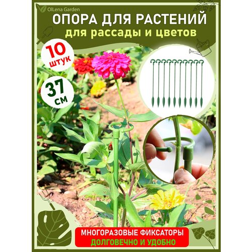 ���������� OlLena Garden / ����� ��� �������� � ������� � ������������, ����� ����������� �������� � �������, 37�� / 10 ��.