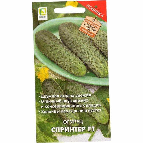 ���������� ������ ����� ������ �������� F1 12 ��.