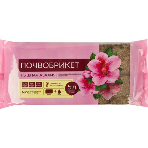 ���������� ����������� ��������� 