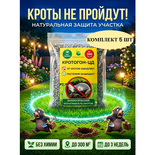 ���������� �������� �� ������ � ��������� �� ������� � ���� �������� 300 �� (250 ��) � 5 ��.