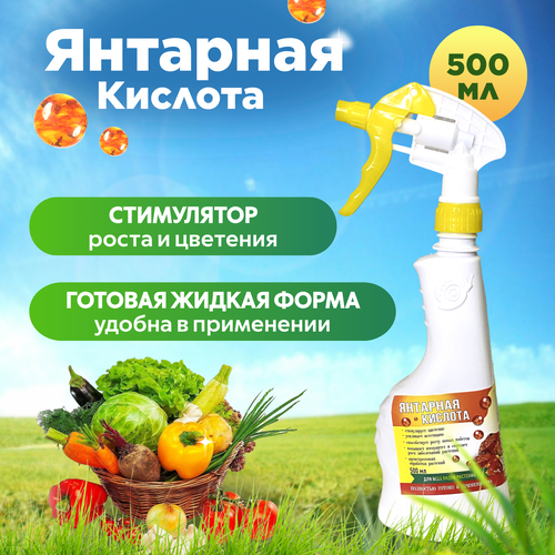 ���������� �������� ������� ��������� 